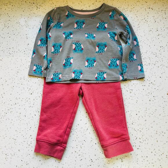 12 Month Girl Outfit Gray Owl Long Sleeve with Pink Sweatpants - Picture 1 of 7